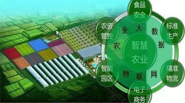 全程追溯,用數(shù)據(jù)把好農(nóng)產(chǎn)品“生產(chǎn)關(guān)”