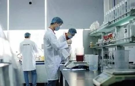 推進技術創新，實現行業新突破